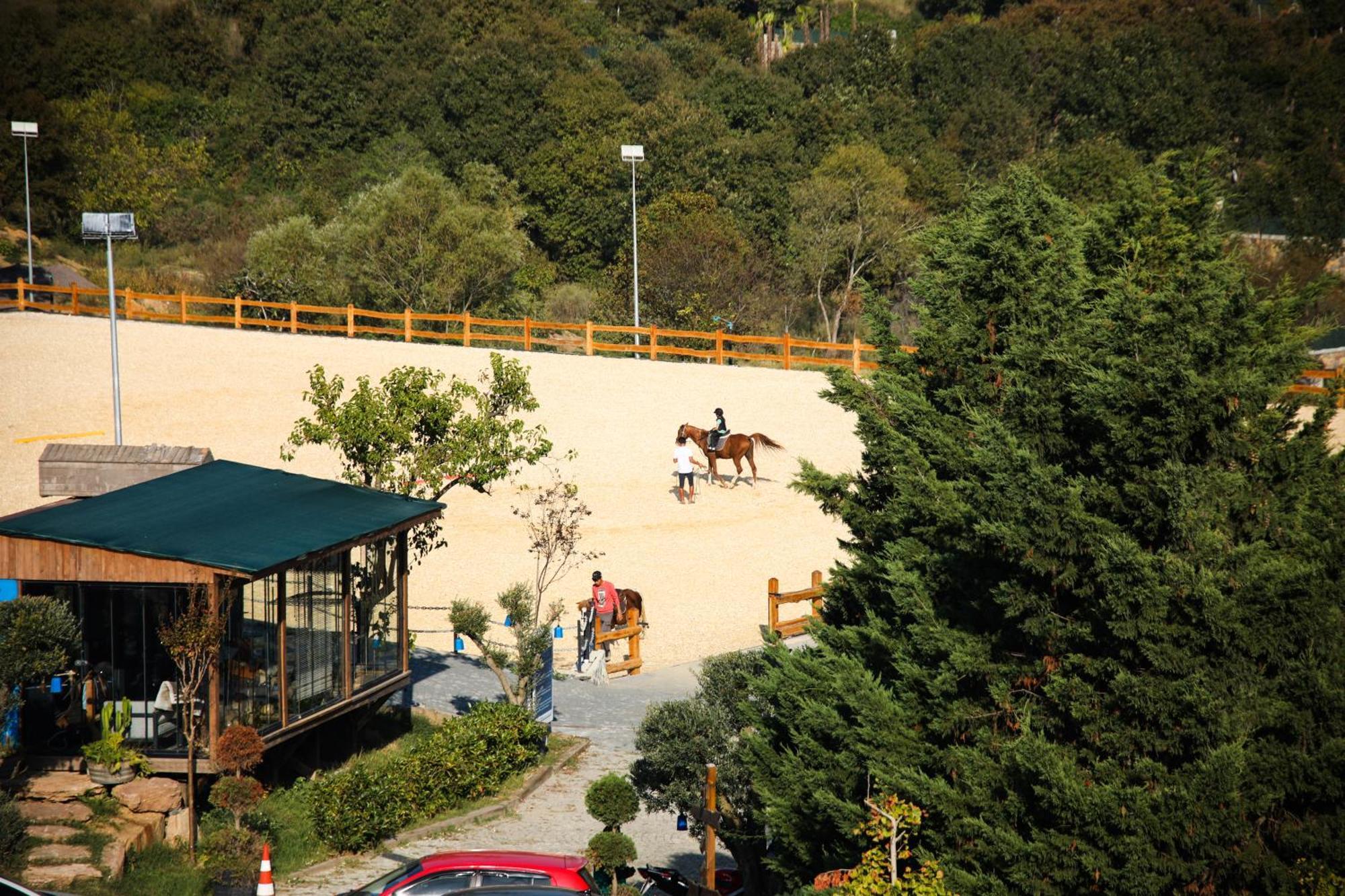Mavi At Hotel Blue Horse Gumusdere 外观 照片