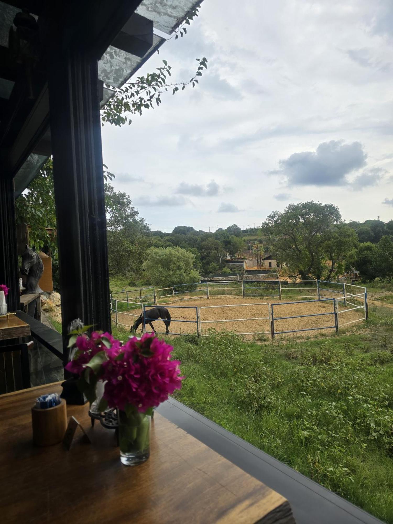 Mavi At Hotel Blue Horse Gumusdere 外观 照片